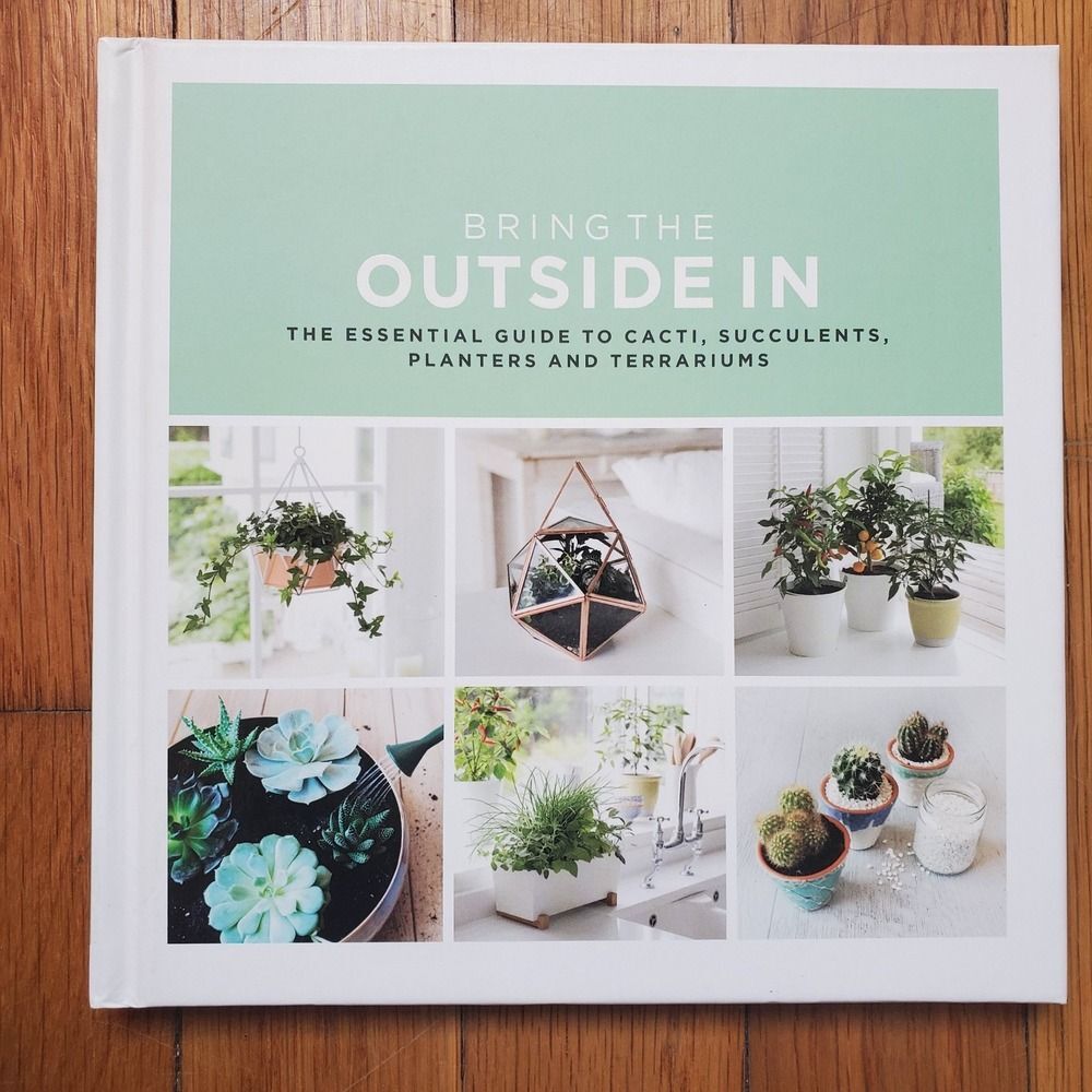 The essential guide to cacti succulents planters terrariums garden plants book
